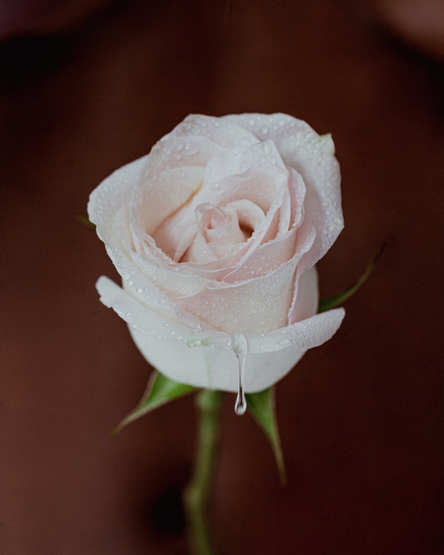 DRENCHED Pleasure Serum